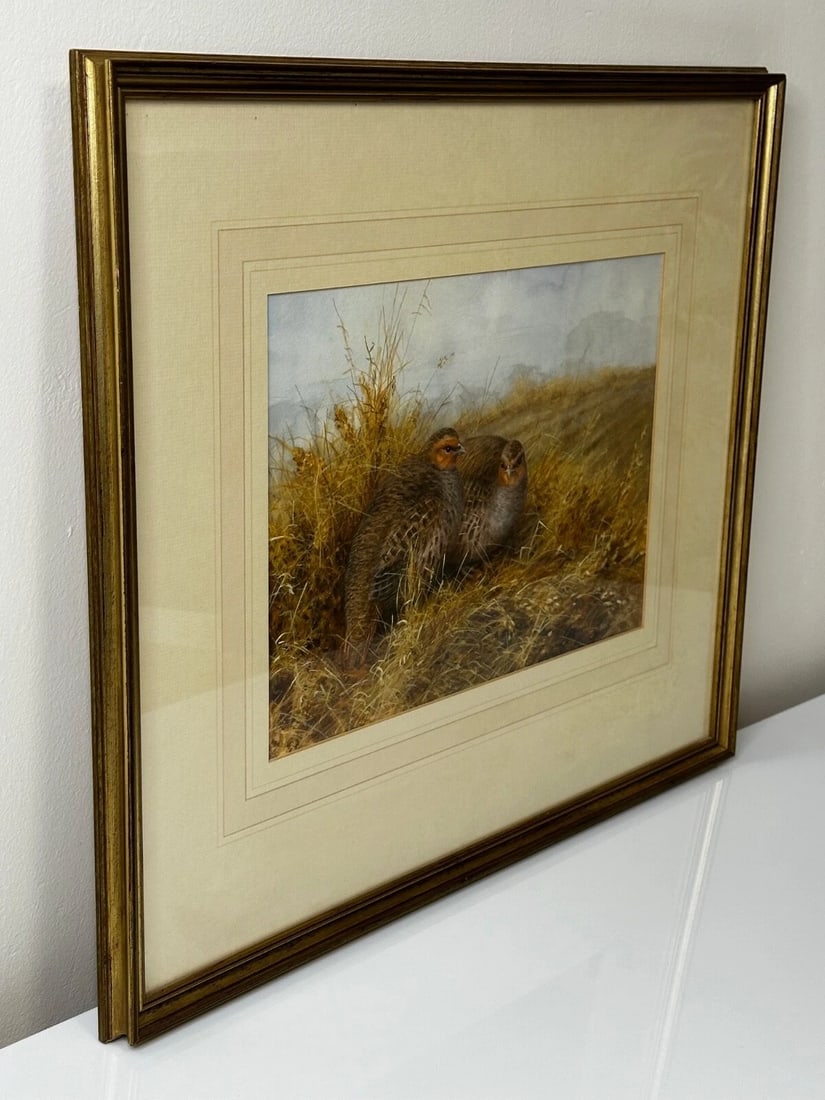 Game Birds Grey Partridges – New Forest Moor In the Manner of Archibald Thorburn - 4