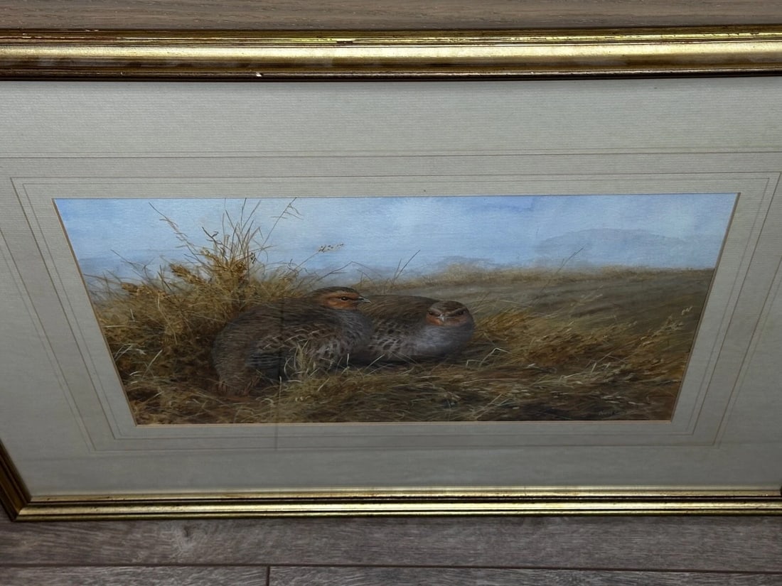 Game Birds Grey Partridges – New Forest Moor In the Manner of Archibald Thorburn - 7