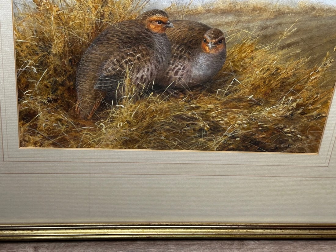 Game Birds Grey Partridges – New Forest Moor In the Manner of Archibald Thorburn - 8