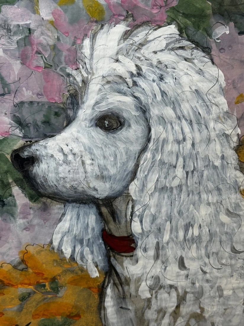 Large Painting Portrait White Poodle Dog By Charles Frederick Tunnicliffe - 10