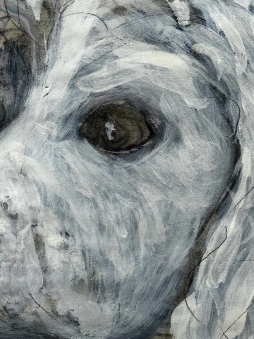 Large Painting Portrait White Poodle Dog By Charles Frederick Tunnicliffe - 13