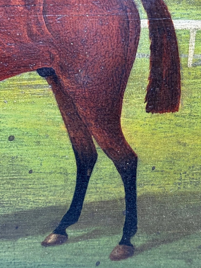 Persimmon Race Horse Jockey Jack Watts Owned by the Prince of Wales At Newmarket - 17