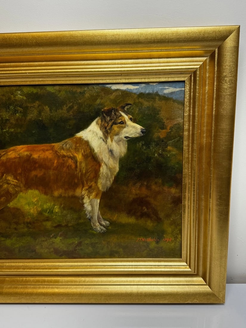 Large Victorian Oil Portrait Rough Collie Signed by John Trivett Nettleship - 13