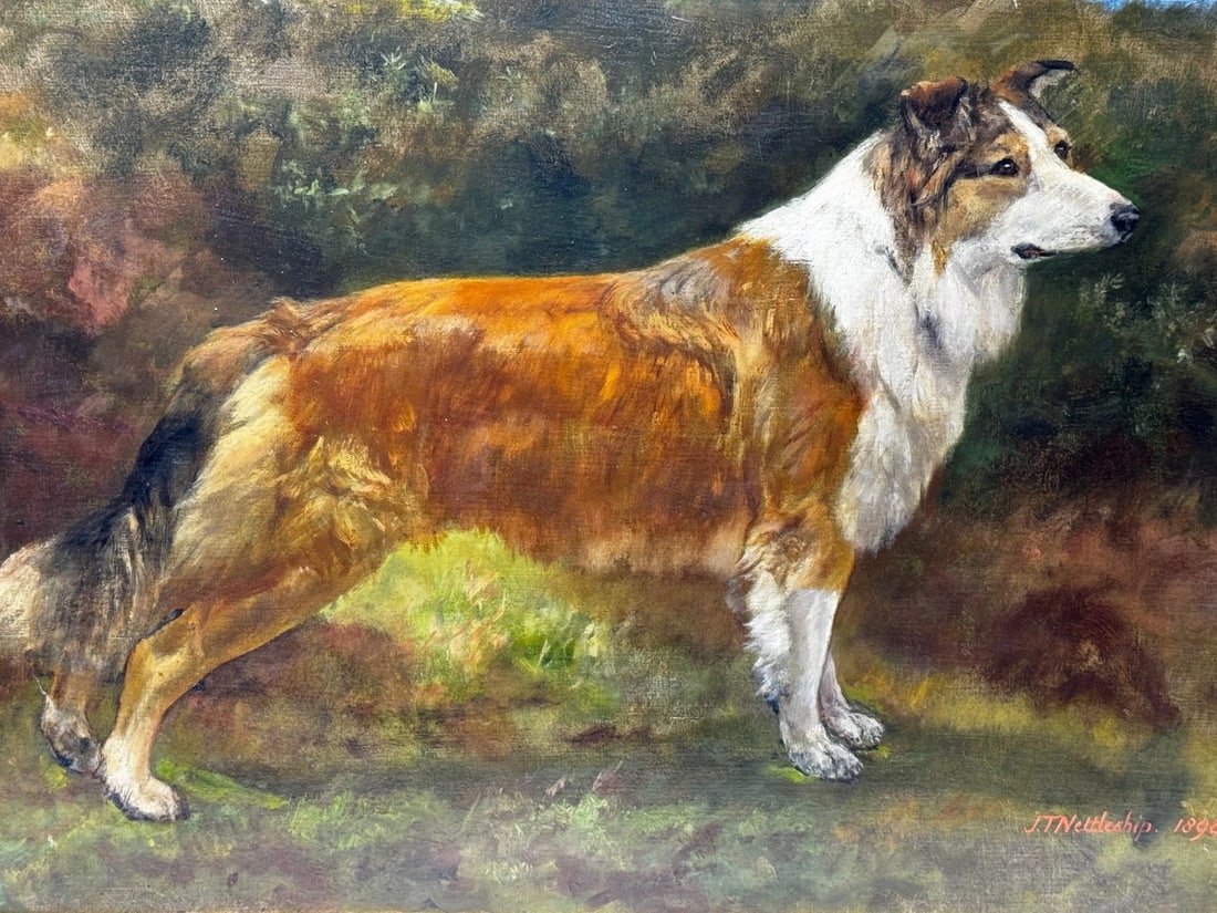 Large Victorian Oil Portrait Rough Collie Signed by John Trivett Nettleship - 2