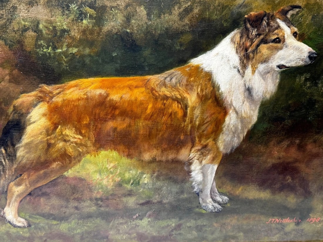 Large Victorian Oil Portrait Rough Collie Signed by John Trivett Nettleship - 3