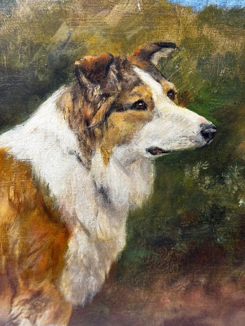 Large Victorian Oil Portrait Rough Collie Signed by John Trivett Nettleship - 4