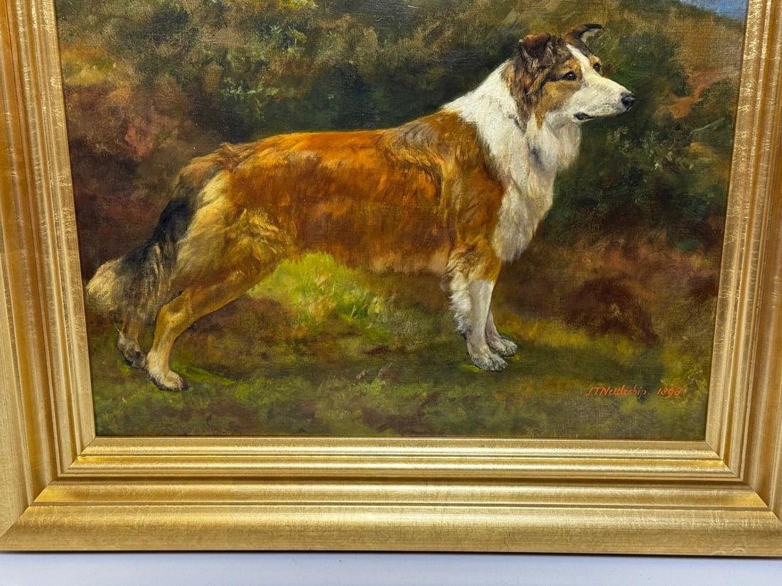 Large Victorian Oil Portrait Rough Collie Signed by John Trivett Nettleship - 8
