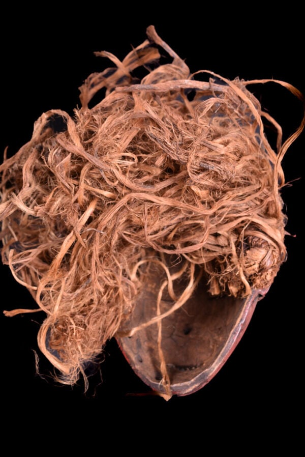Mask – Wood, Raphia – Chokwe – Congo DRC - 6