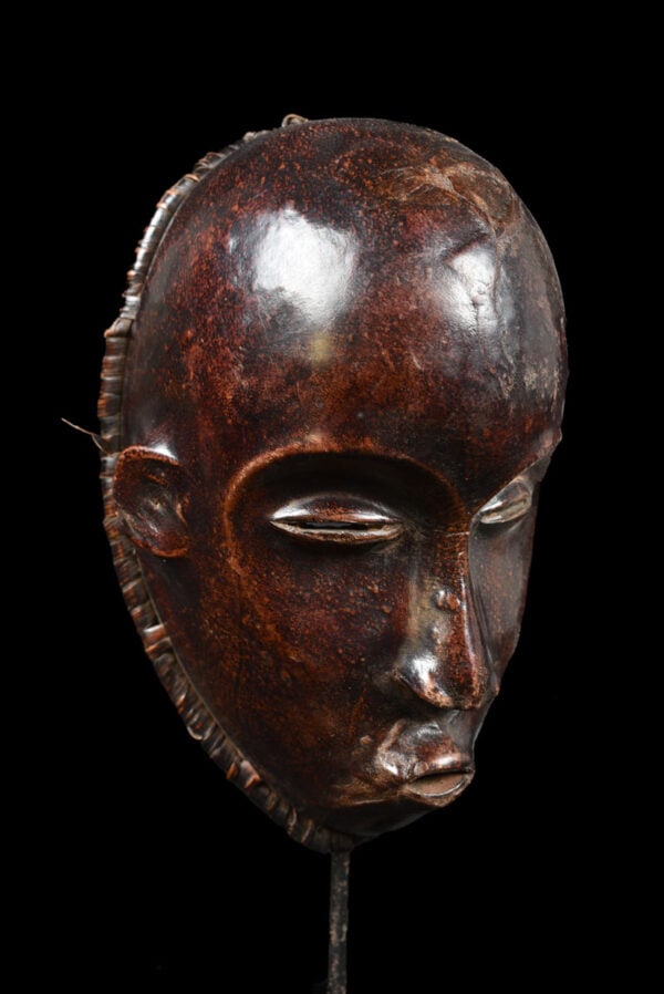 Mask - Wood, Antelope skin - Ejagham - Ekoi - Nigeria (1 of 8)