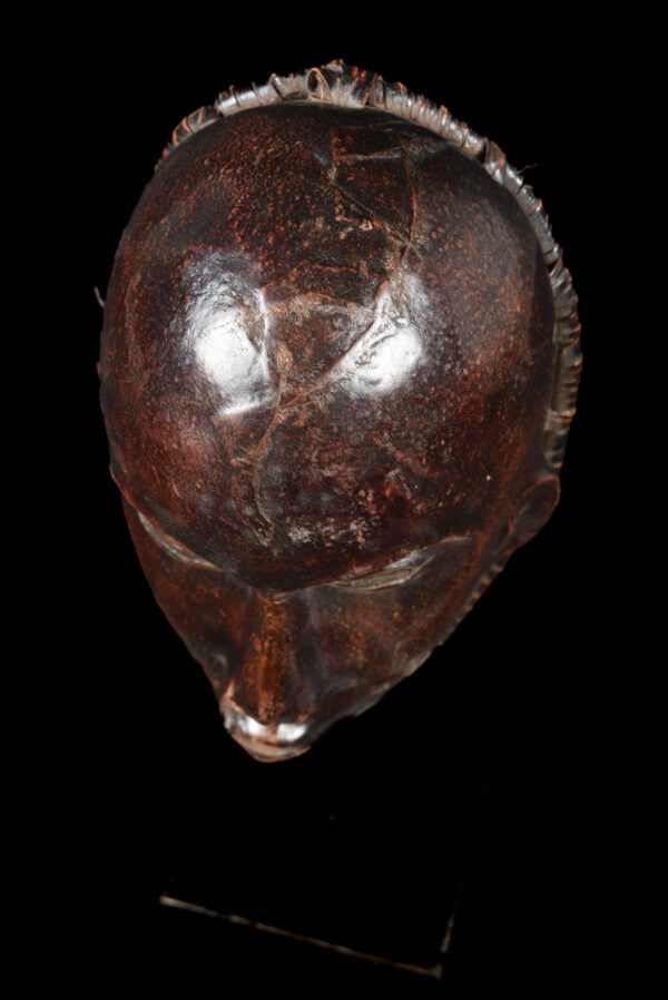 Mask - Wood, Antelope skin - Ejagham - Ekoi - Nigeria - 5