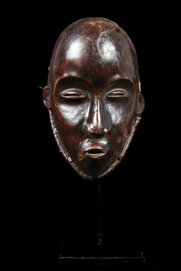 Mask - Wood, Antelope skin - Ejagham - Ekoi - Nigeria - 7