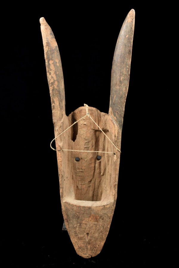 Hyena mask - Wood - Bambara - Mali - 2
