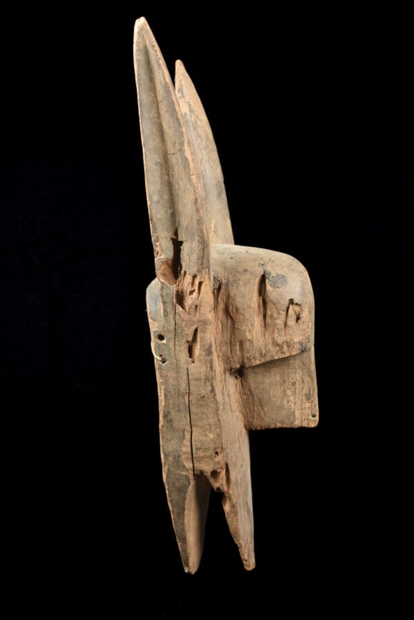 Hyena mask - Wood - Bambara - Mali - 3