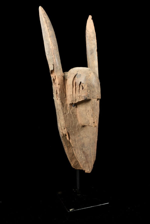 Hyena mask - Wood - Bambara - Mali - 4