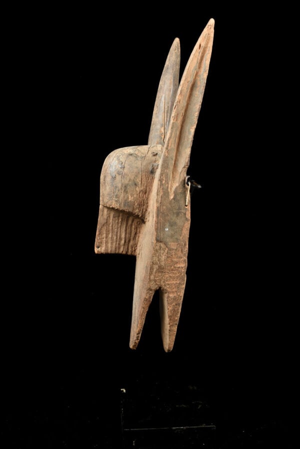 Hyena mask - Wood - Bambara - Mali - 5