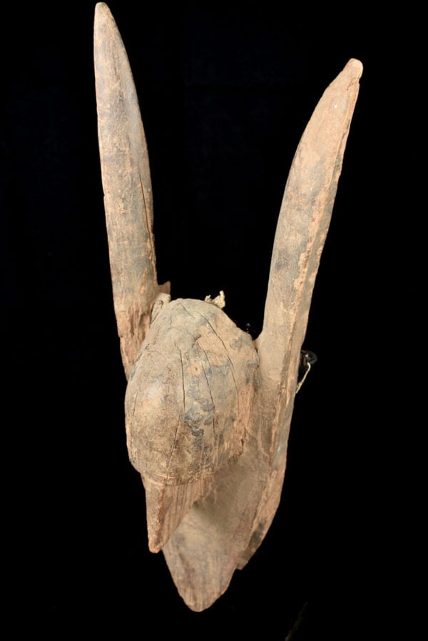 Hyena mask - Wood - Bambara - Mali - 6