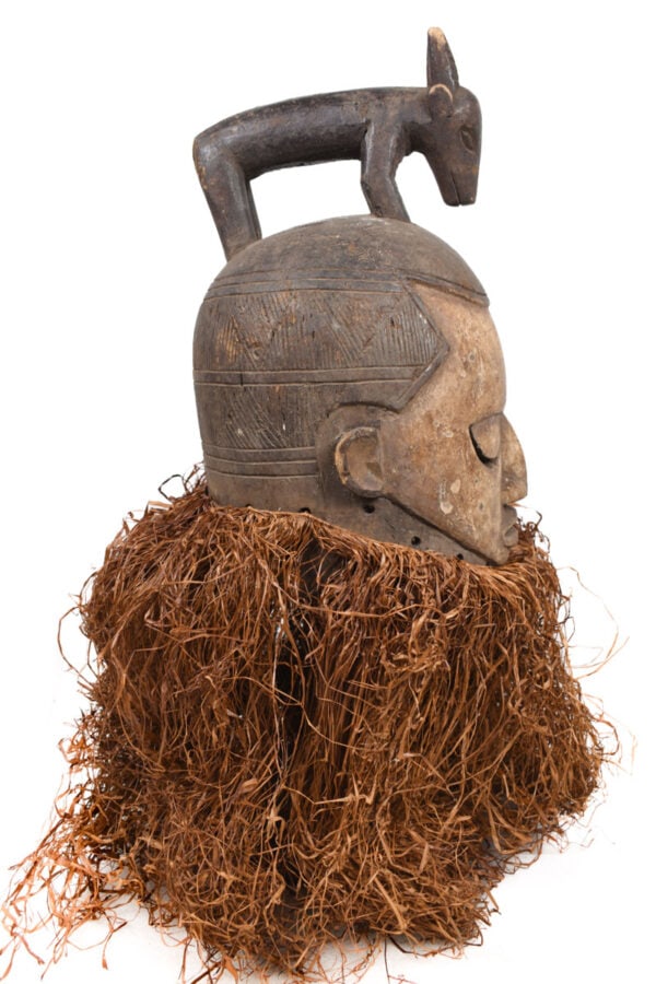 Helmet Mask - Wood, Raphia - Suku - Congo - 3
