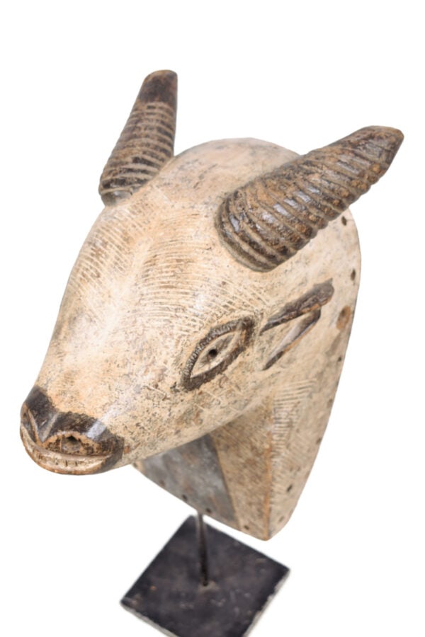 Animal Mask - Wood - Luba - DR Congo - 6
