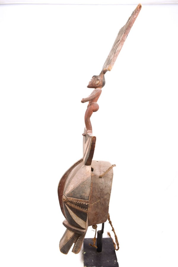 Animal Mask - Wood - Bwa - Burkina Faso - 5