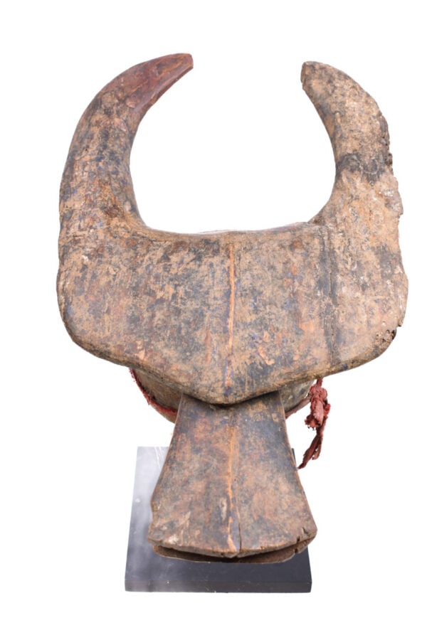 Buffalo Mask - Wood - Mama - Nigeria - 8