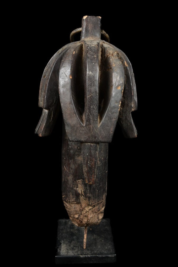 Reliquary Byeri Head - Wood, Metal - Fang - Gabon - 3