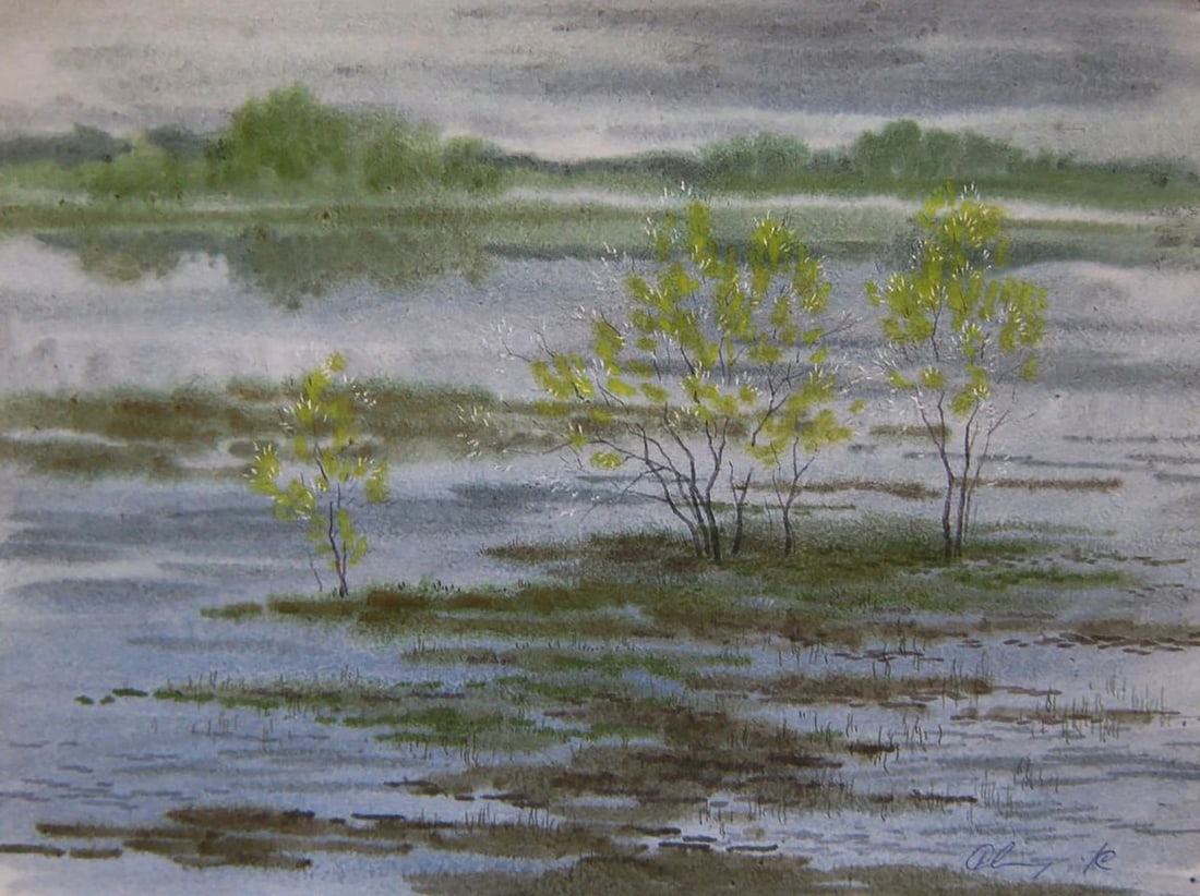 Watercolor painting The river rose in the field Valery Savenets (1 of 6)