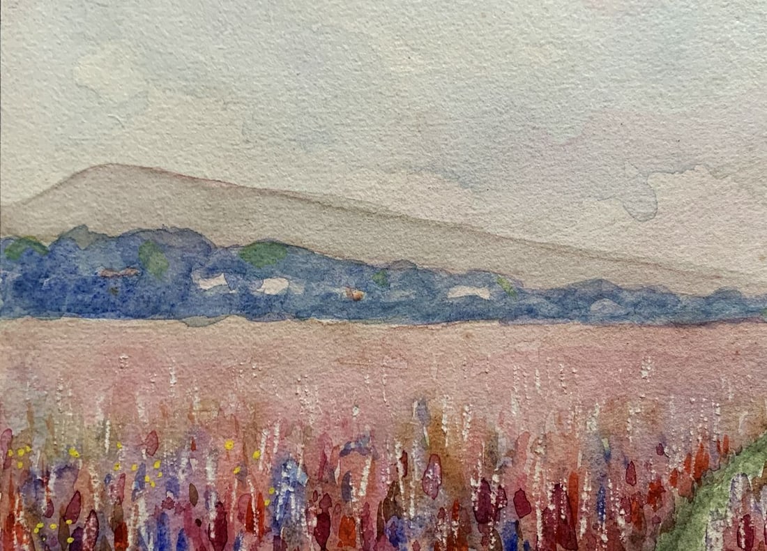 Watercolor painting Overlooking the wheat fields Ivan Tsyupka - 5