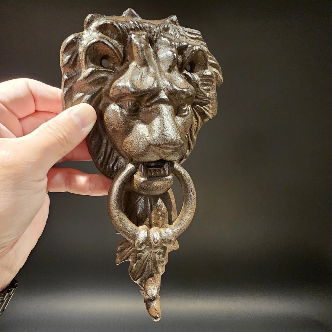 Cast Iron Lion Door Knocker w Hook - 17