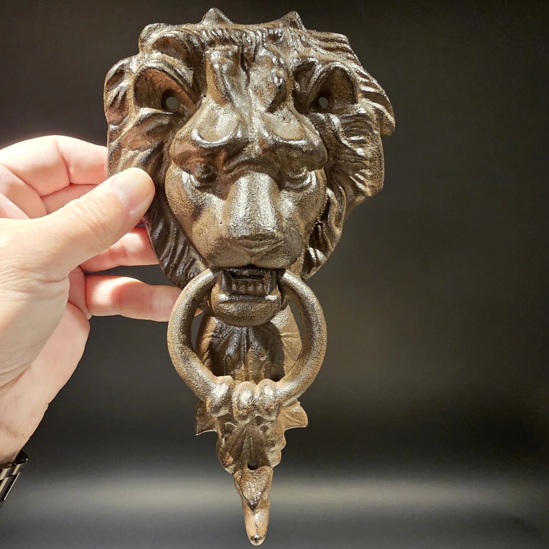 Cast Iron Lion Door Knocker w Hook - 18