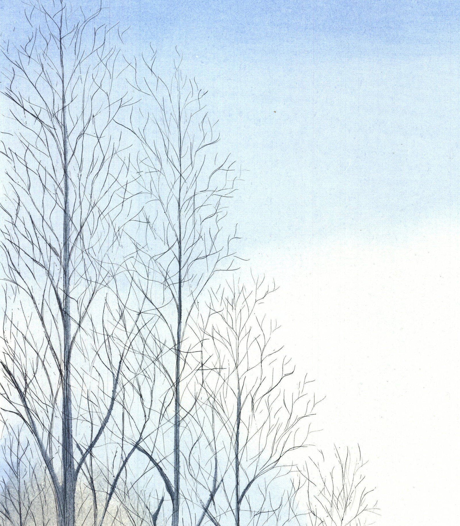 Borris Saillart - Au bout de la cloture - 1975 Etching - SIGNED 26" x 20" - 3