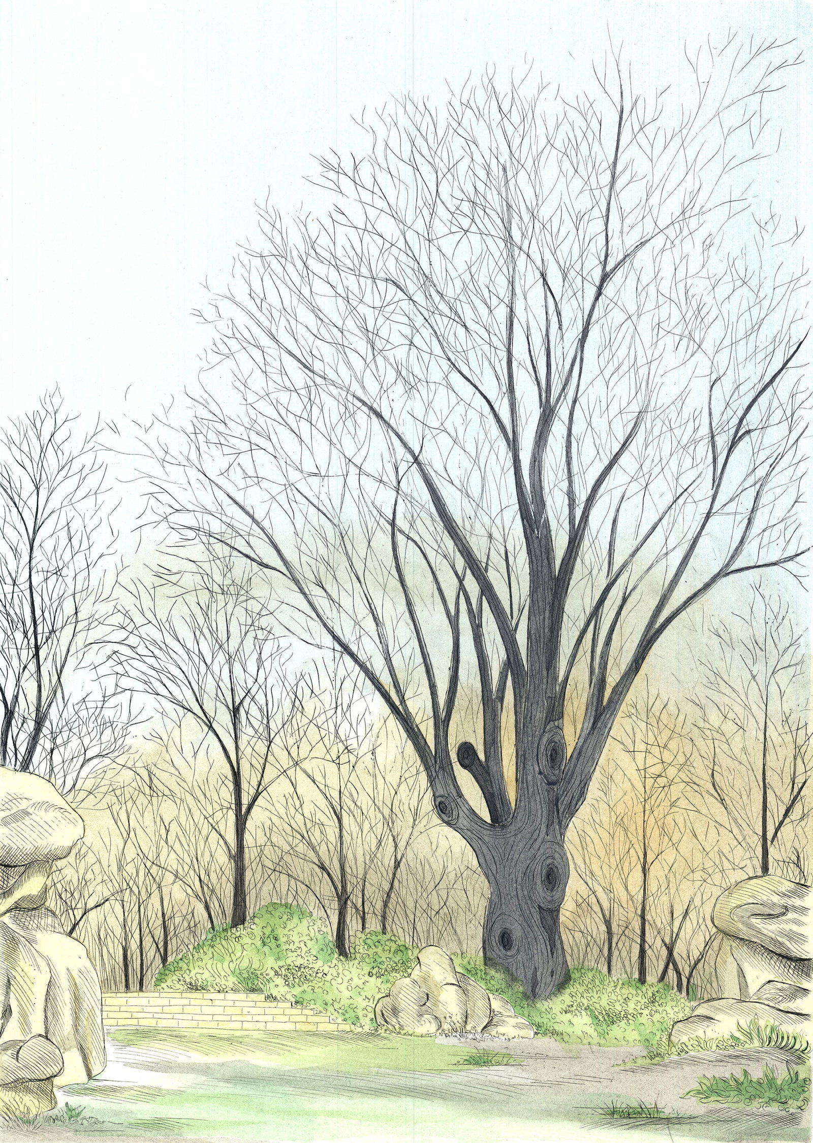 Borris Saillart - Barren Tree late Fall - 1975 Lithograph - SIGNED 25.5" x 19.5" - 2