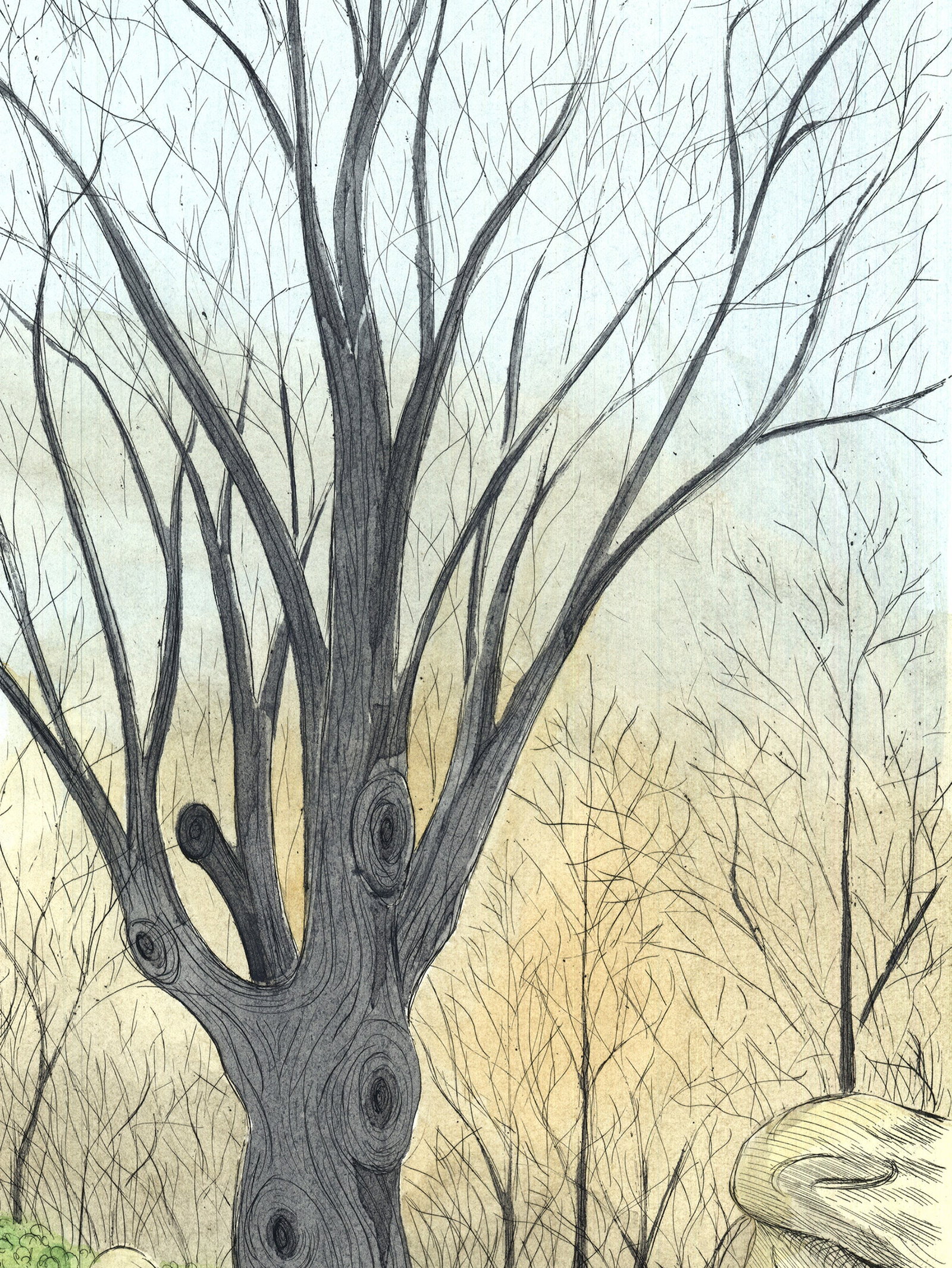 Borris Saillart - Barren Tree late Fall - 1975 Lithograph - SIGNED 25.5" x 19.5" - 4