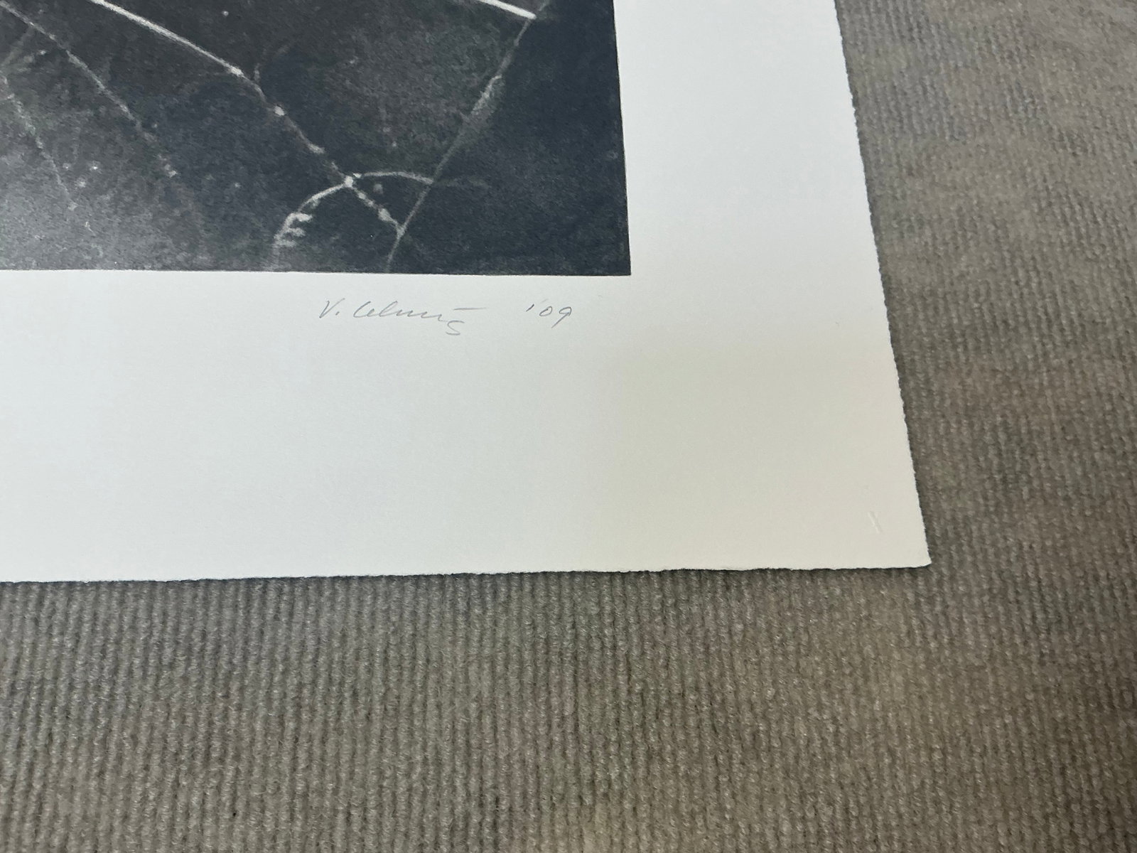 Vija Celmins - Spider Web - 2009 Serigraph - SIGNED 17.5" x 19" - 10