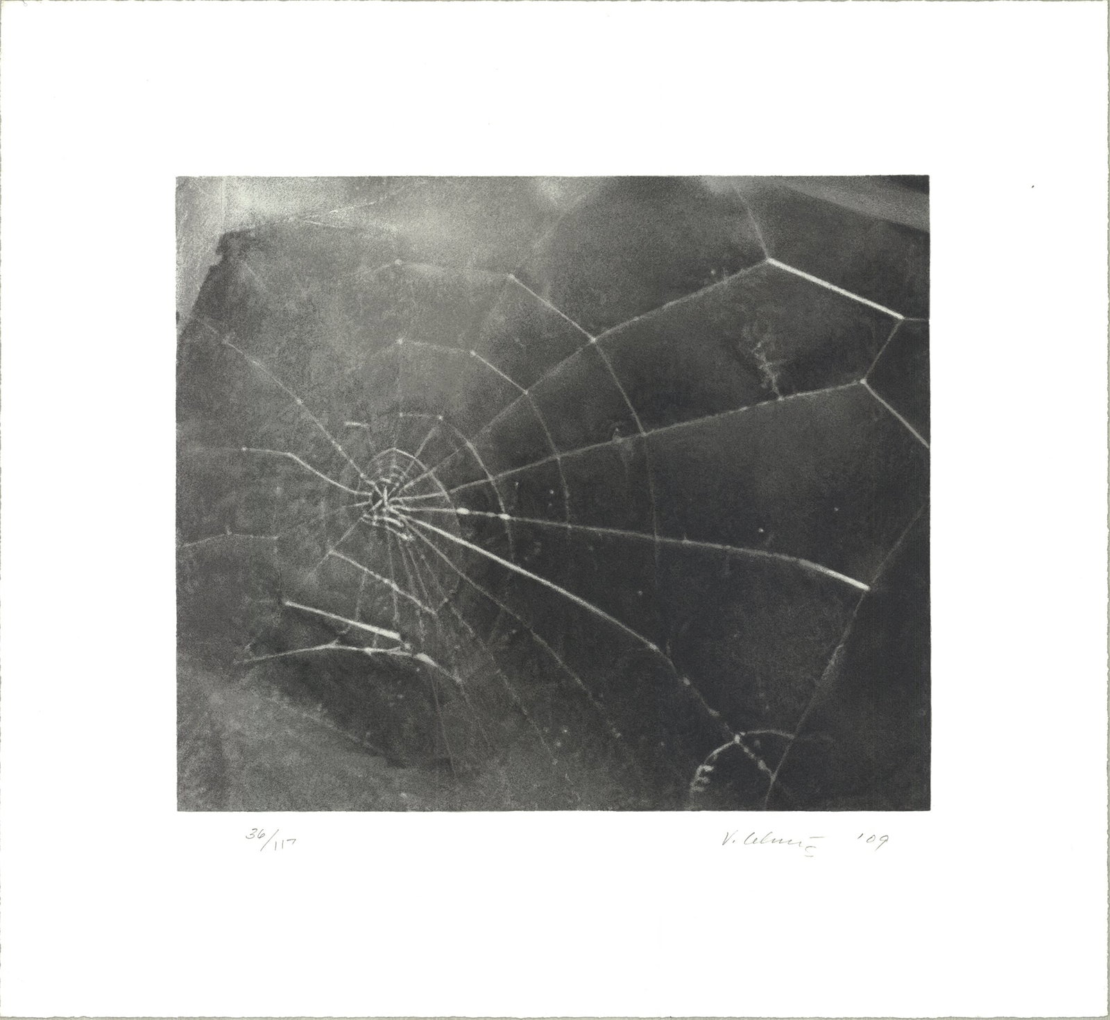 Vija Celmins - Spider Web - 2009 Serigraph - SIGNED 17.5" x 19": Spider Web by Vija Celmins, 2009 Signed Serigraph. Paper size is 17.5 x 19 inches, with an image size of 11 x 13 inches. The Serigraph is from an edition size of 117 and is not framed. The condition w