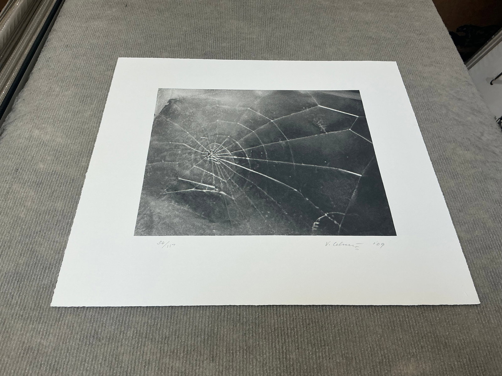 Vija Celmins - Spider Web - 2009 Serigraph - SIGNED 17.5" x 19" - 2
