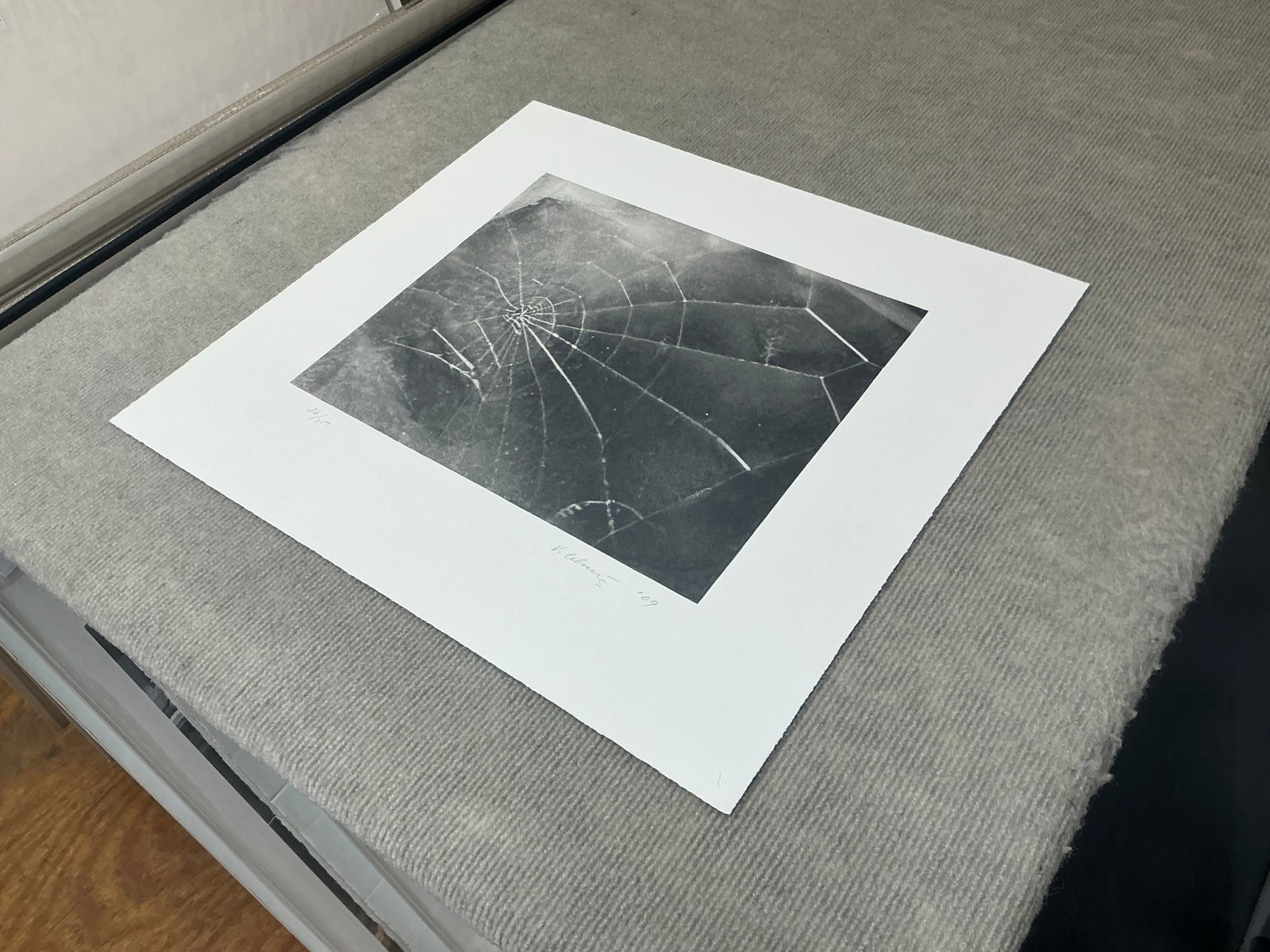 Vija Celmins - Spider Web - 2009 Serigraph - SIGNED 17.5" x 19" - 3