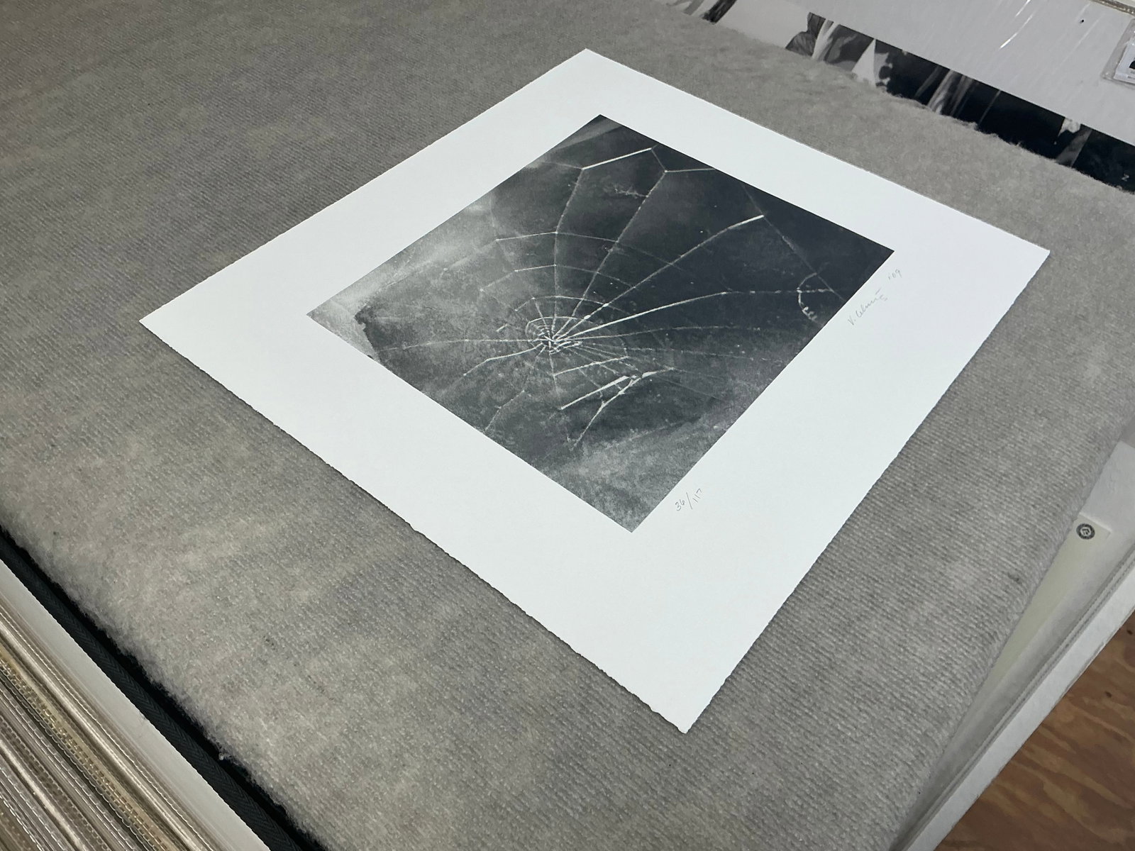 Vija Celmins - Spider Web - 2009 Serigraph - SIGNED 17.5" x 19" - 4