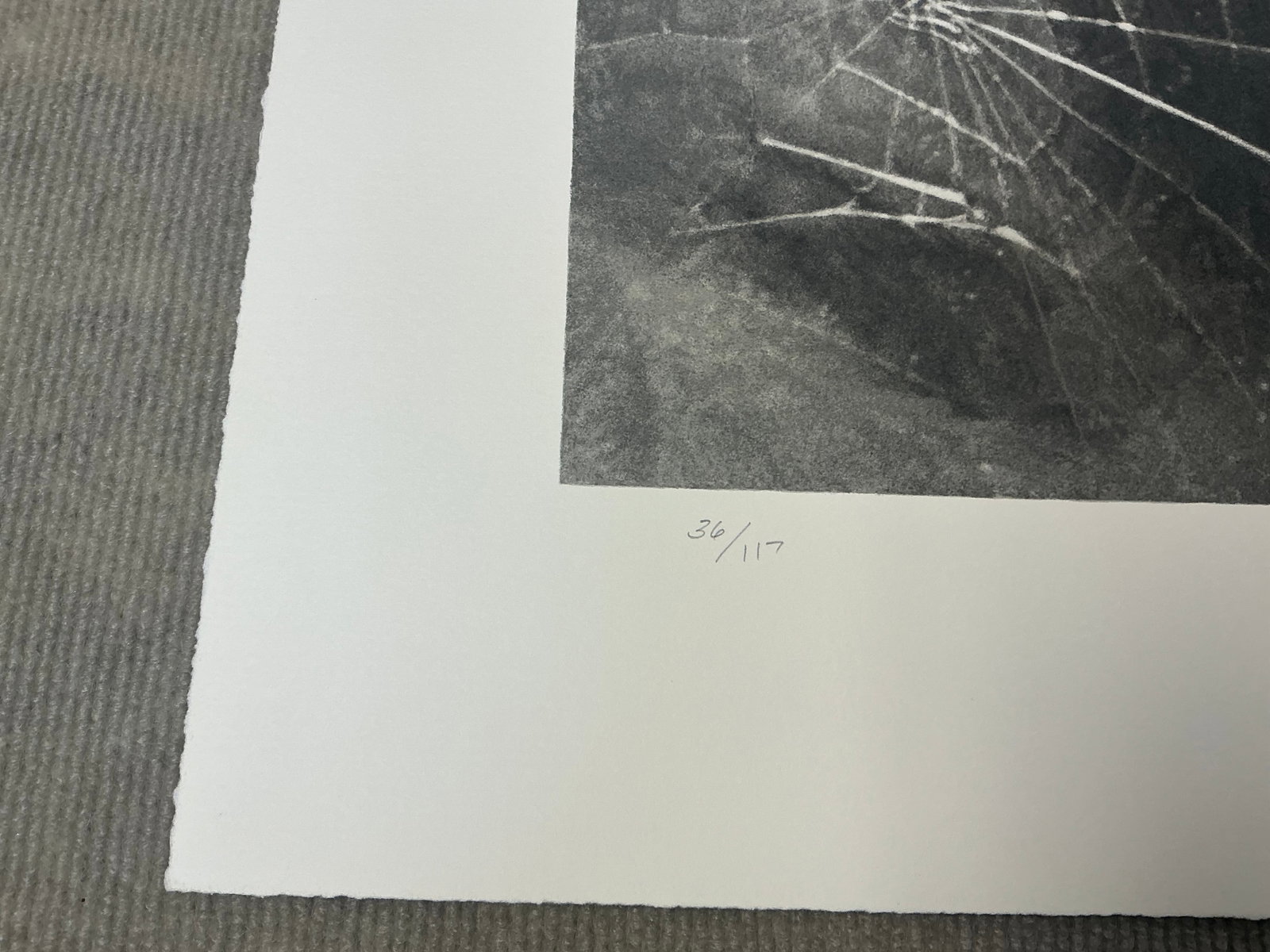 Vija Celmins - Spider Web - 2009 Serigraph - SIGNED 17.5" x 19" - 6