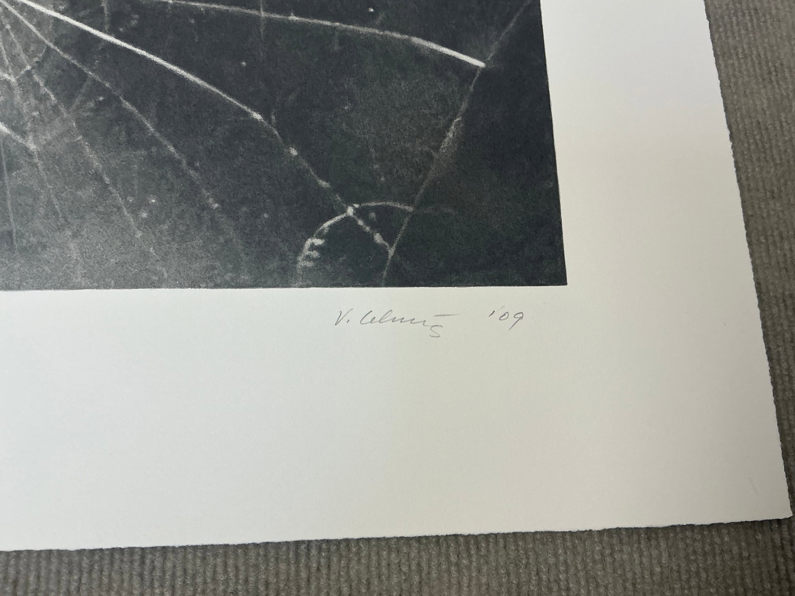 Vija Celmins - Spider Web - 2009 Serigraph - SIGNED 17.5" x 19" - 7