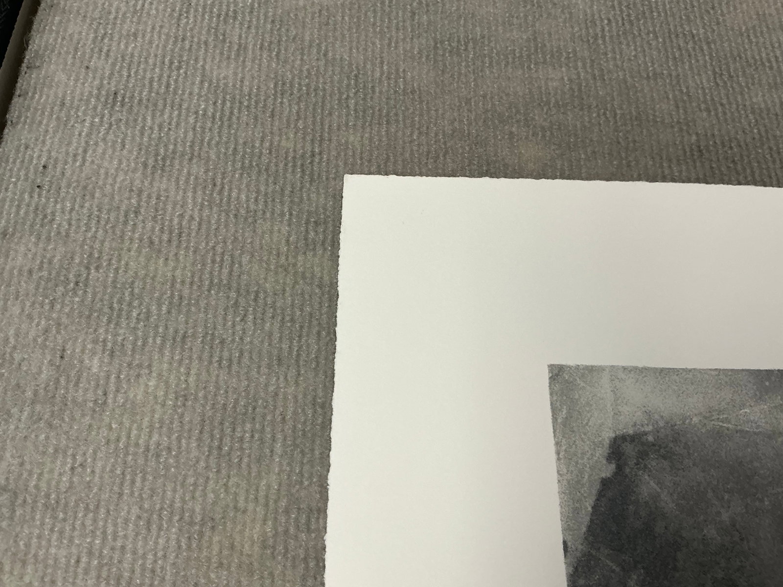 Vija Celmins - Spider Web - 2009 Serigraph - SIGNED 17.5" x 19" - 8