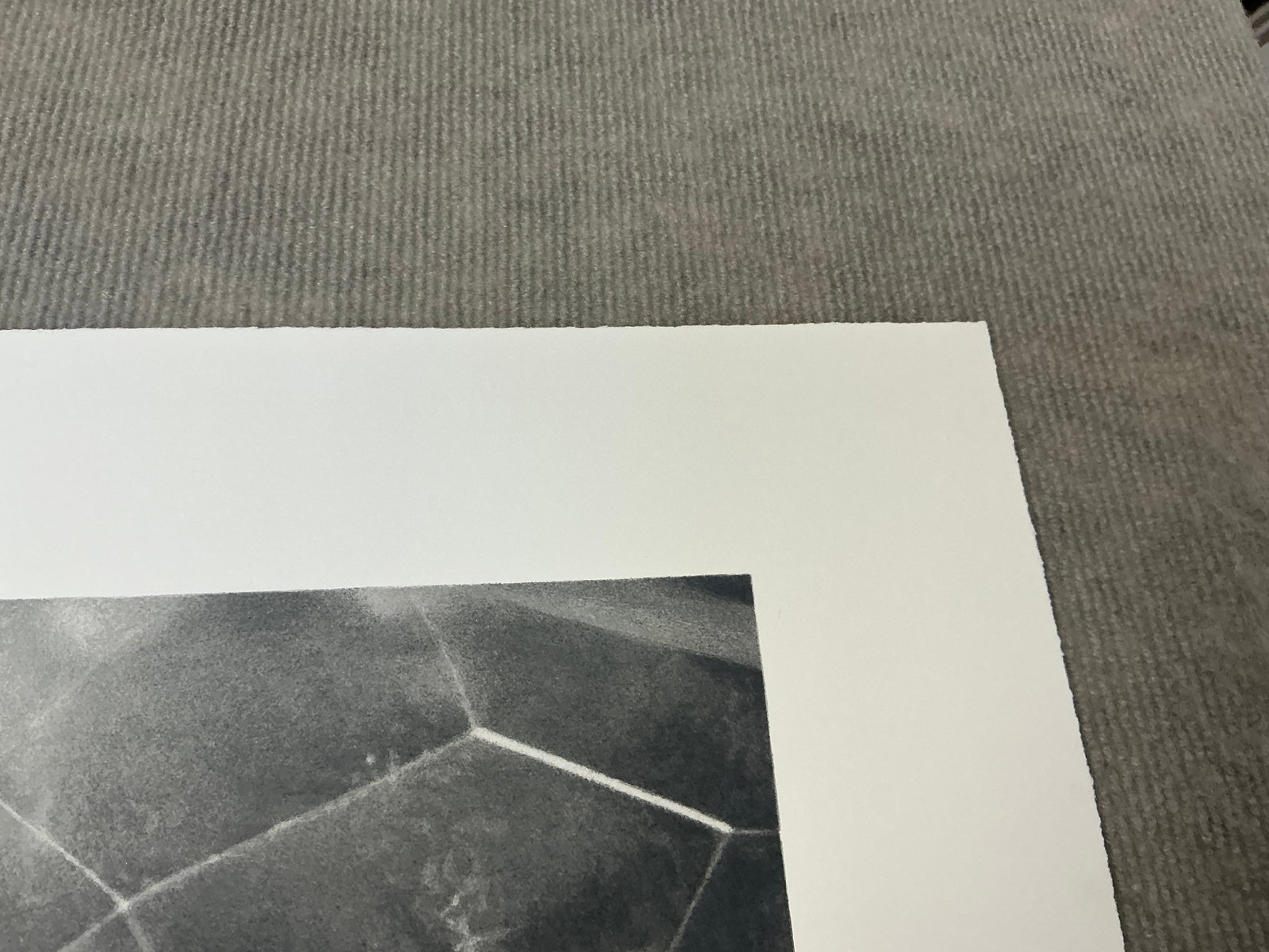 Vija Celmins - Spider Web - 2009 Serigraph - SIGNED 17.5" x 19" - 9