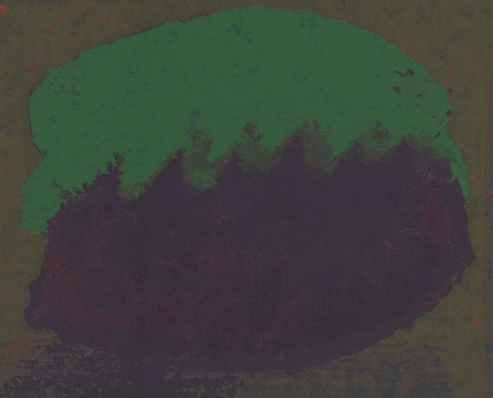 Howard Hodgkin - Tropic Fruit (Heenk 222) - 1981 Serigraph - SIGNED 31" x 37" - 4