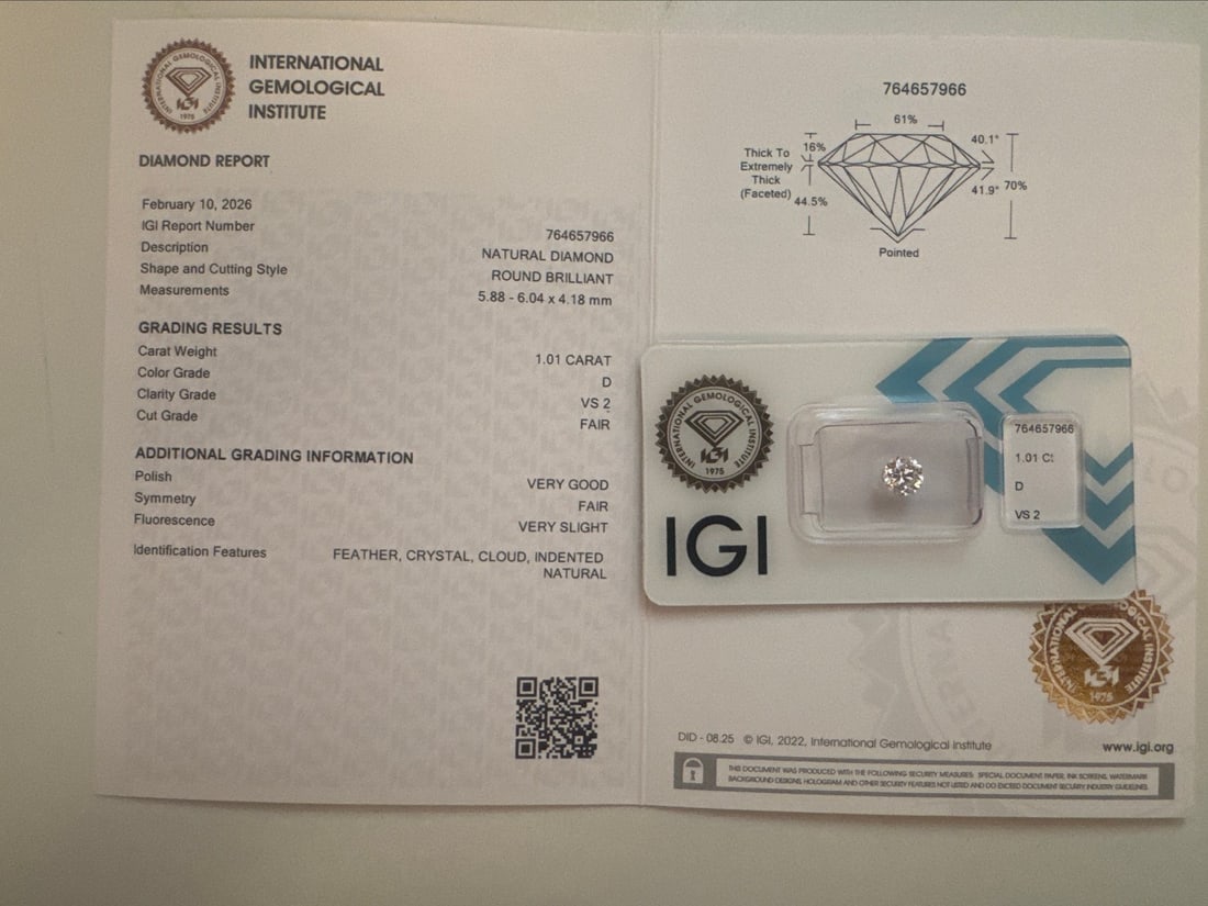1 pcs Diamond (Natural) - 1.01 ct - Round - D (colourless) - VS2 - International Gemological - 2