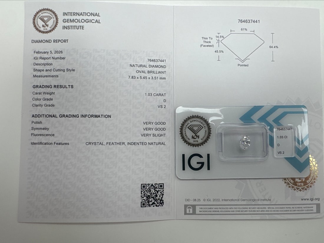 1 pcs Diamond (Natural) - 1.03 ct - Oval - D (colourless) - VS2 - International Gemological - 2