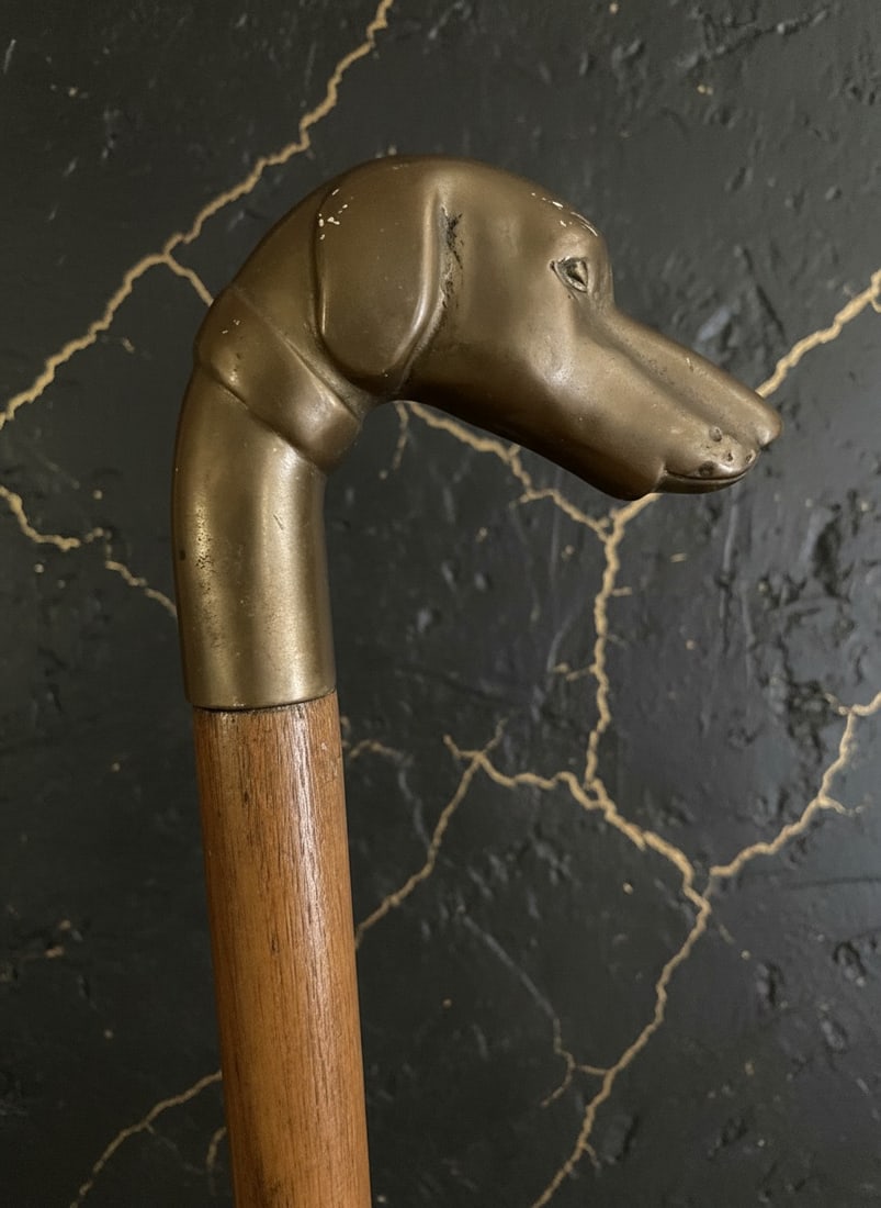 Ornate Canine Handle Walking Stick Brass Animal Head Umbrella Cane Vintage - 4