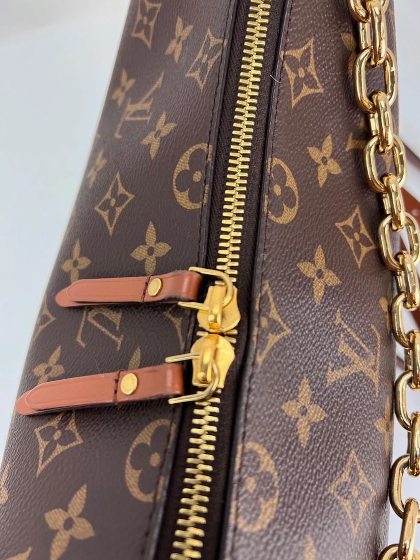 Louis Vuitton Loop Hobo Monogram Reverse Shoulder Bag - 9