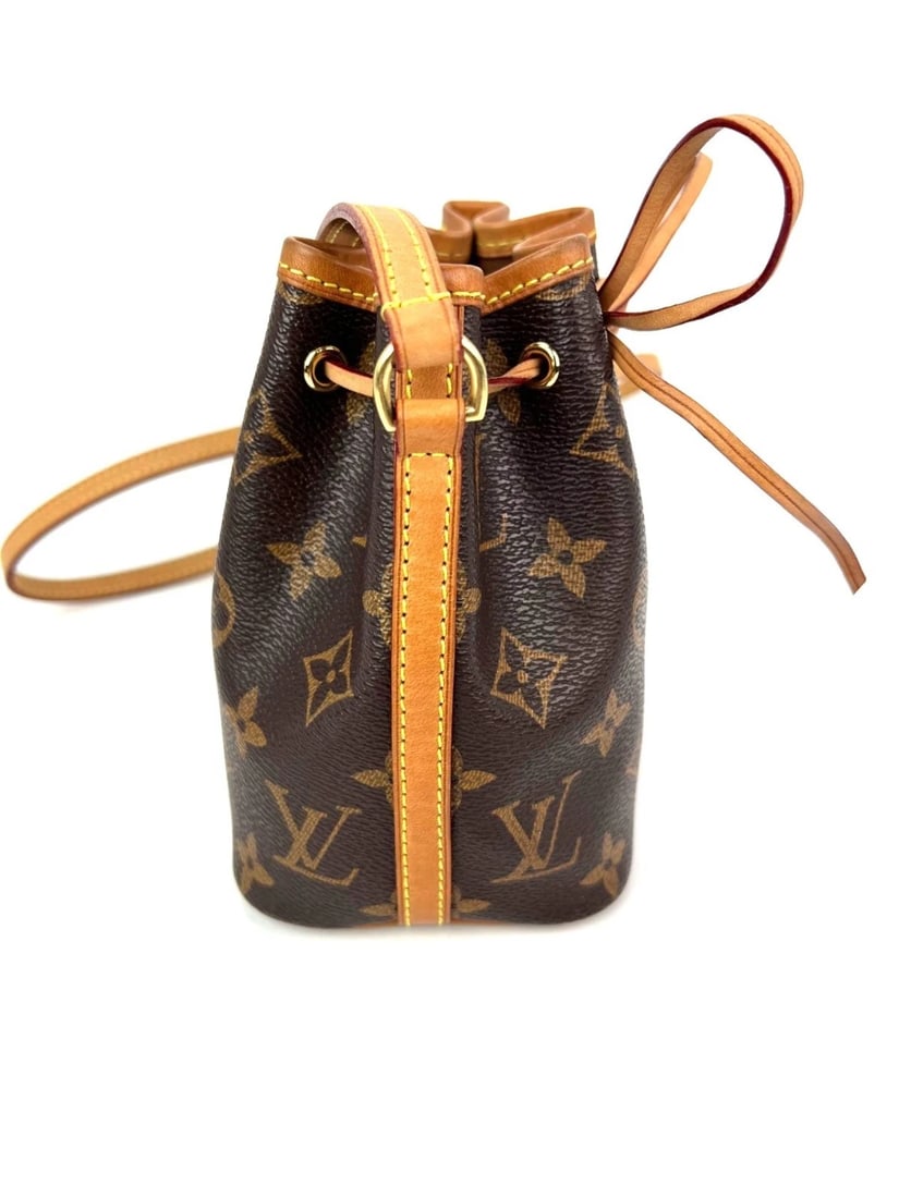 Louis Vuitton Monogram Nano Noe Bucket Crossbody Bag - 12