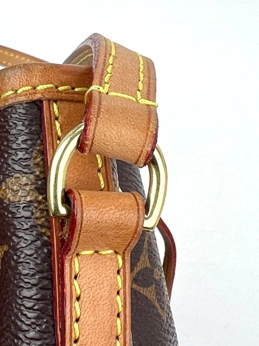 Louis Vuitton Monogram Nano Noe Bucket Crossbody Bag - 9
