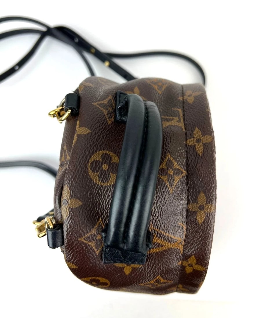 Louis Vuitton Palm Springs Mini Monogram Backpack Bag - 10