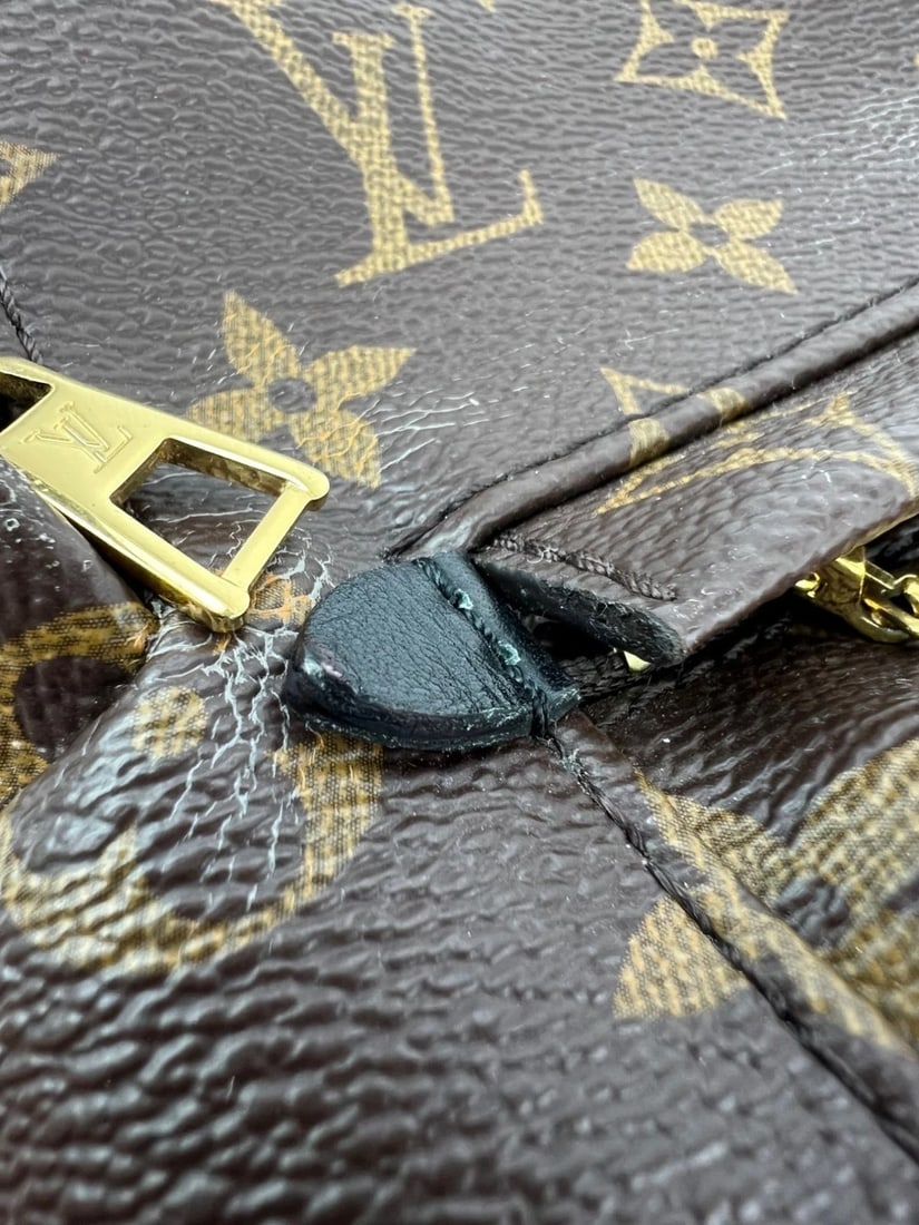 Louis Vuitton Palm Springs Mini Monogram Backpack Bag - 11